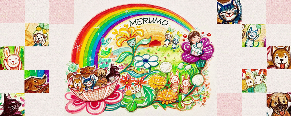 Until the day when we can meet again at the Rainbow Bridge together.